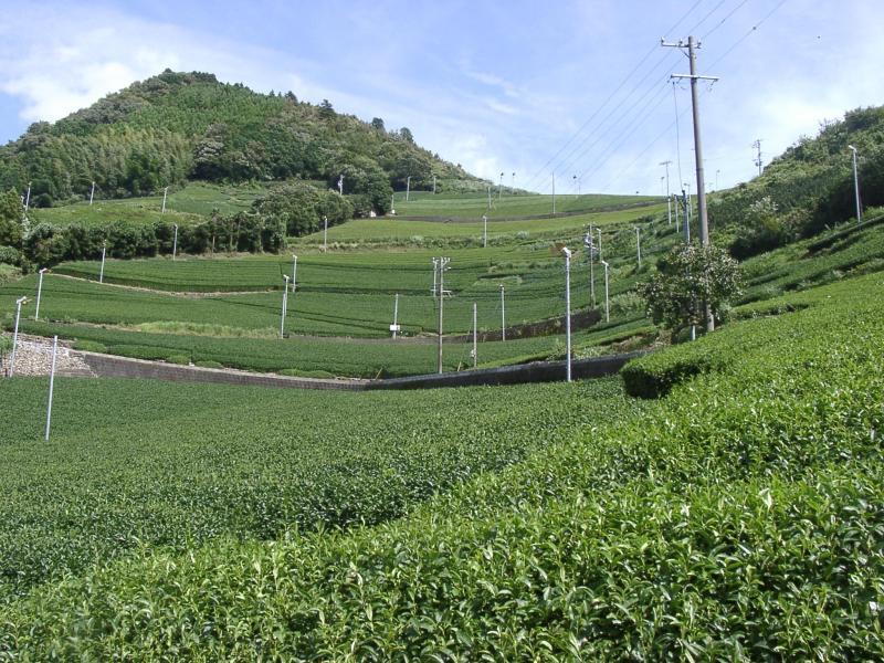 (写真)中山間地域等直接支払制度の実施地域