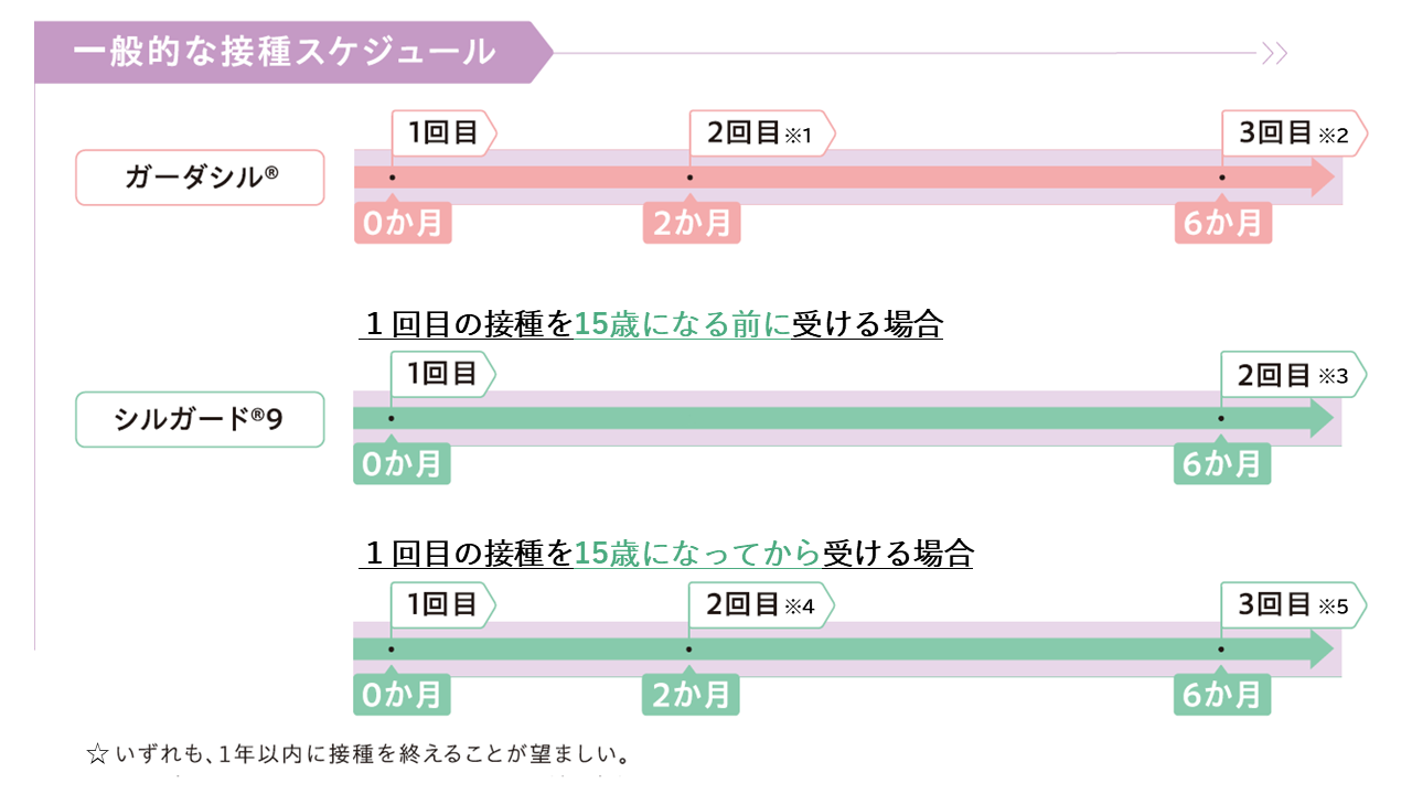 男子HPVの標準的な接種スケジュール