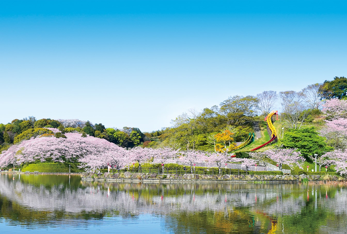 蓮華寺池公園