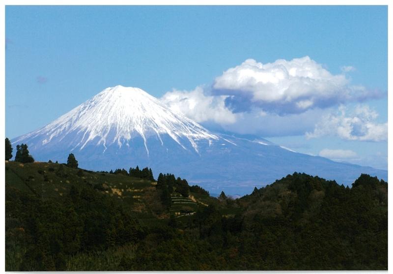 藤枝市水道事務所