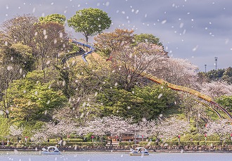 Nextage写真展画像