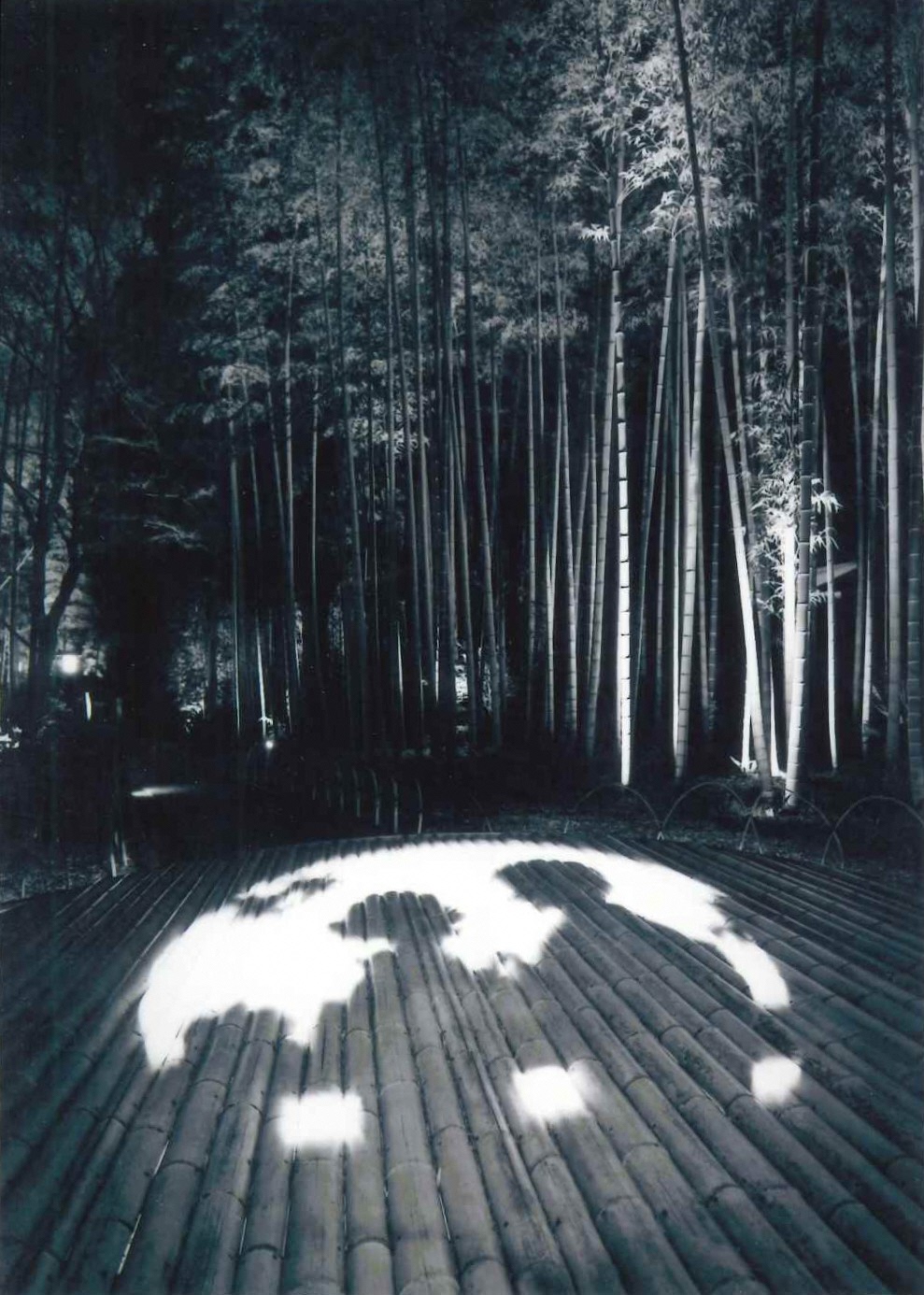 2026みんなの写真展