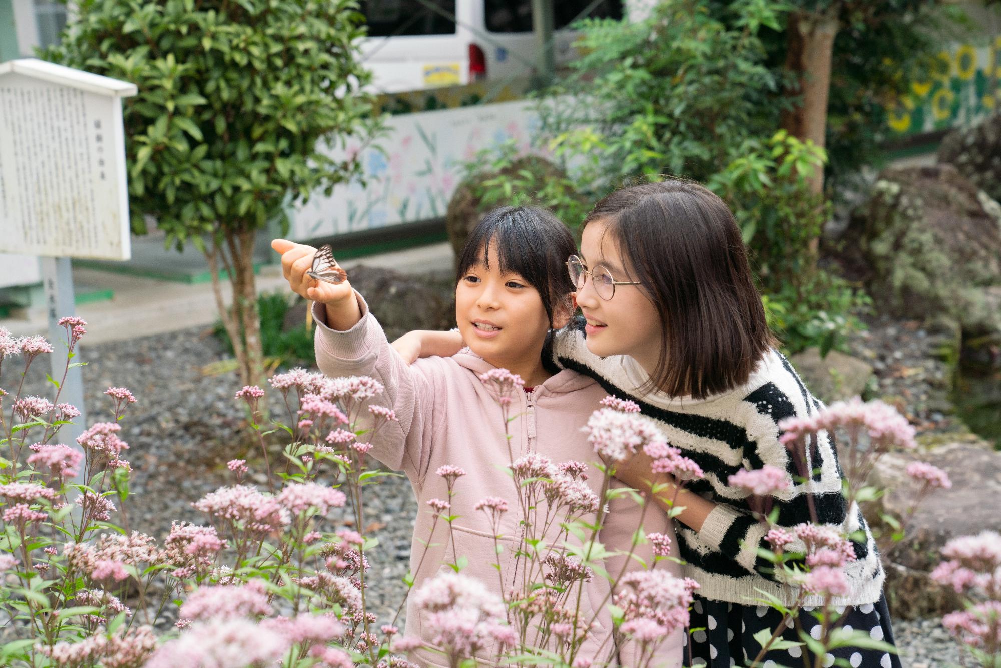 アサギマダラと子どもたち＿朝一小