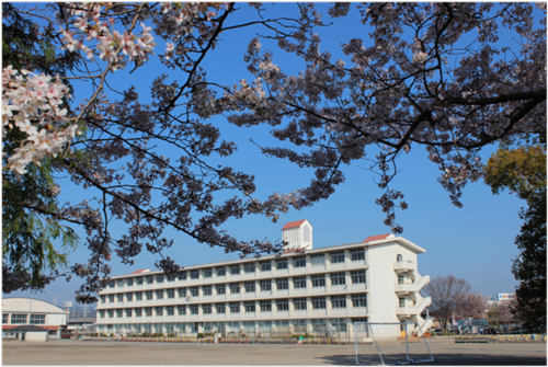 青島東小学校