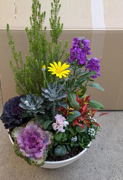 お正月の寄せ植え講座