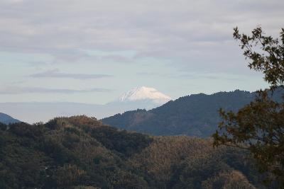 芝生広場から望む富士山の写真