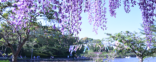 蓮華寺池公園 藤枝市ホームページ