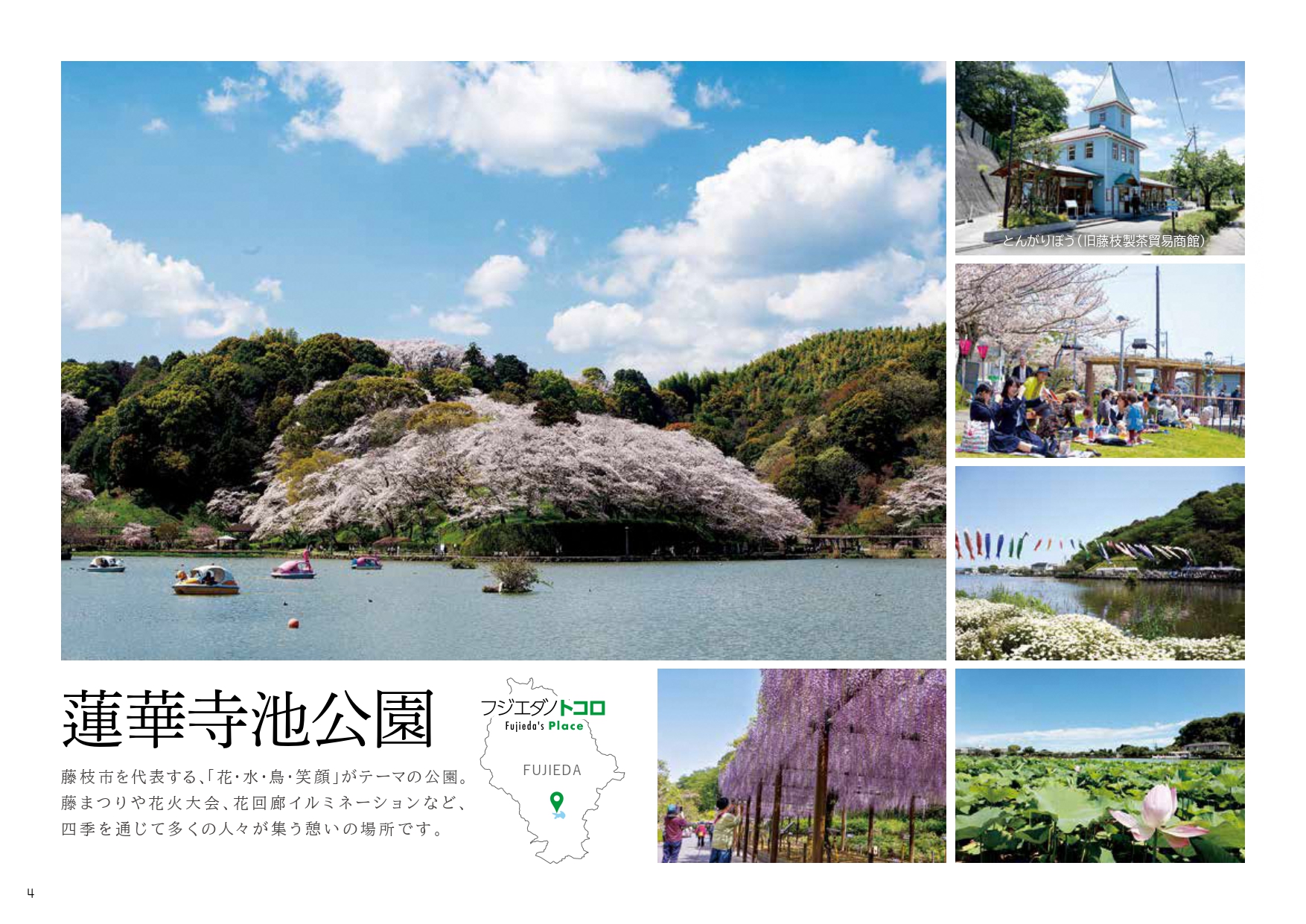 蓮華寺池公園