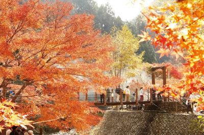 滝ノ谷不動峡の紅葉の写真
