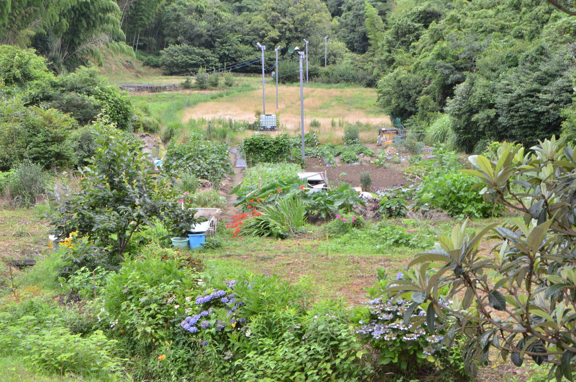 市民農園（遠景）