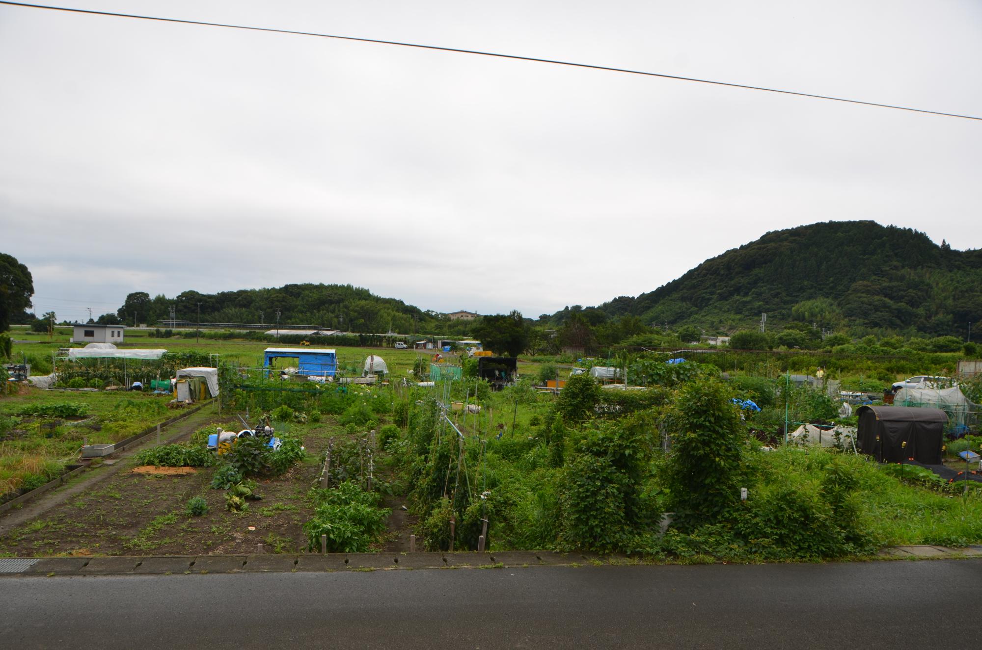 市民農園（遠景）