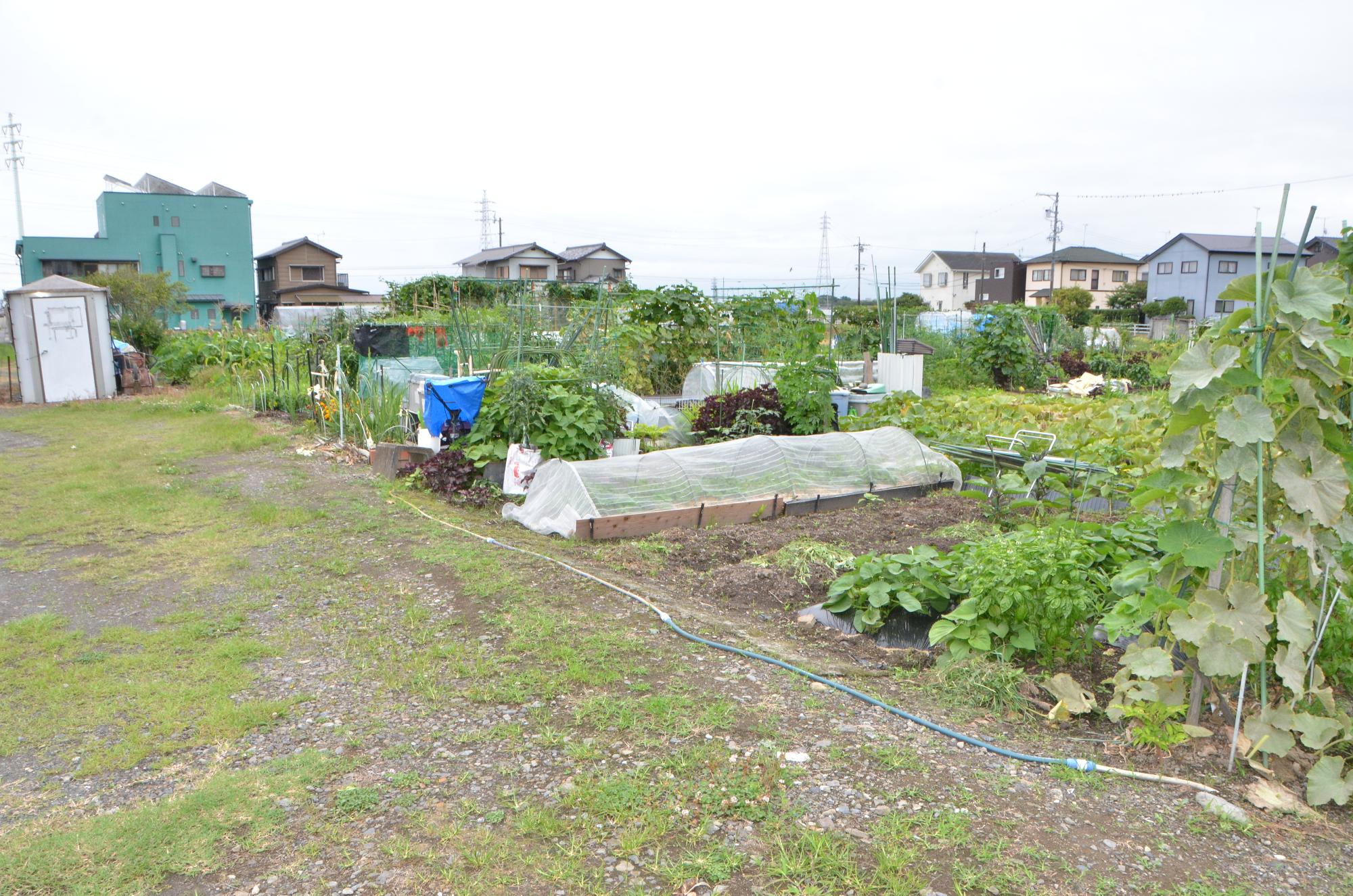 市民農園（遠景）