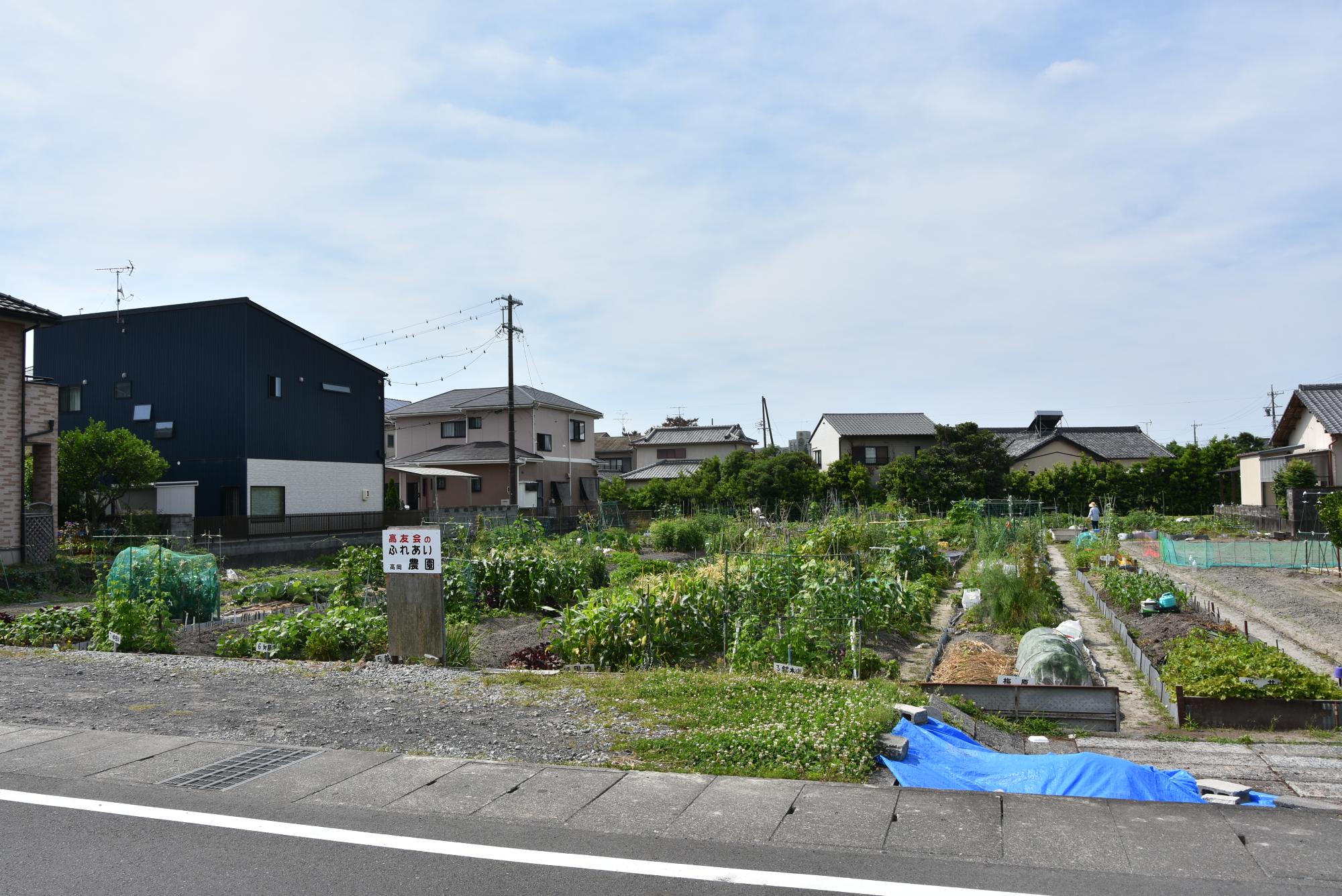 市民農園（遠景）