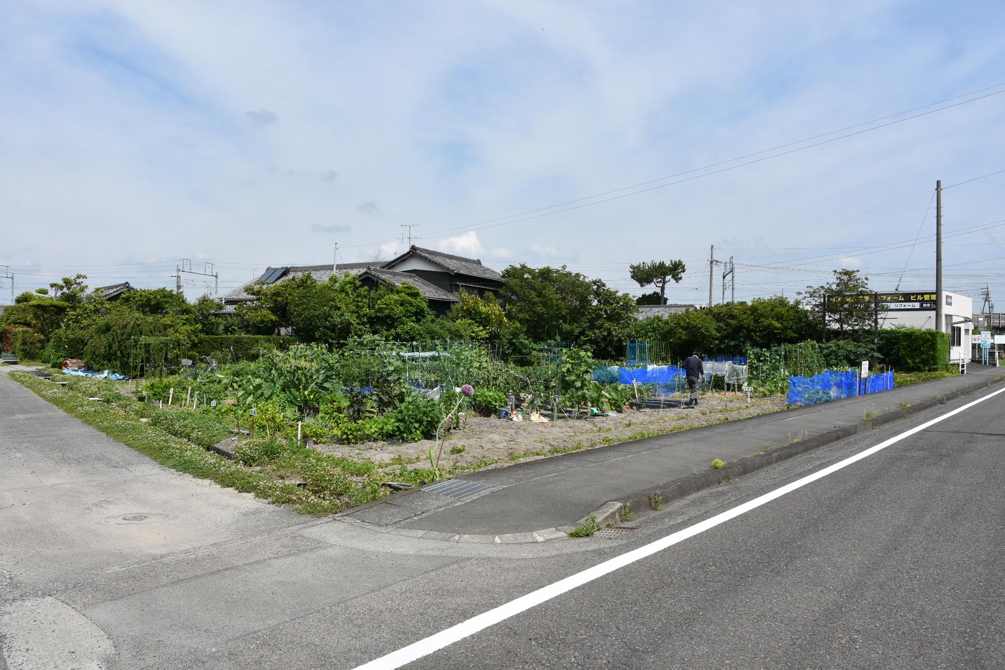 市民農園（遠景）