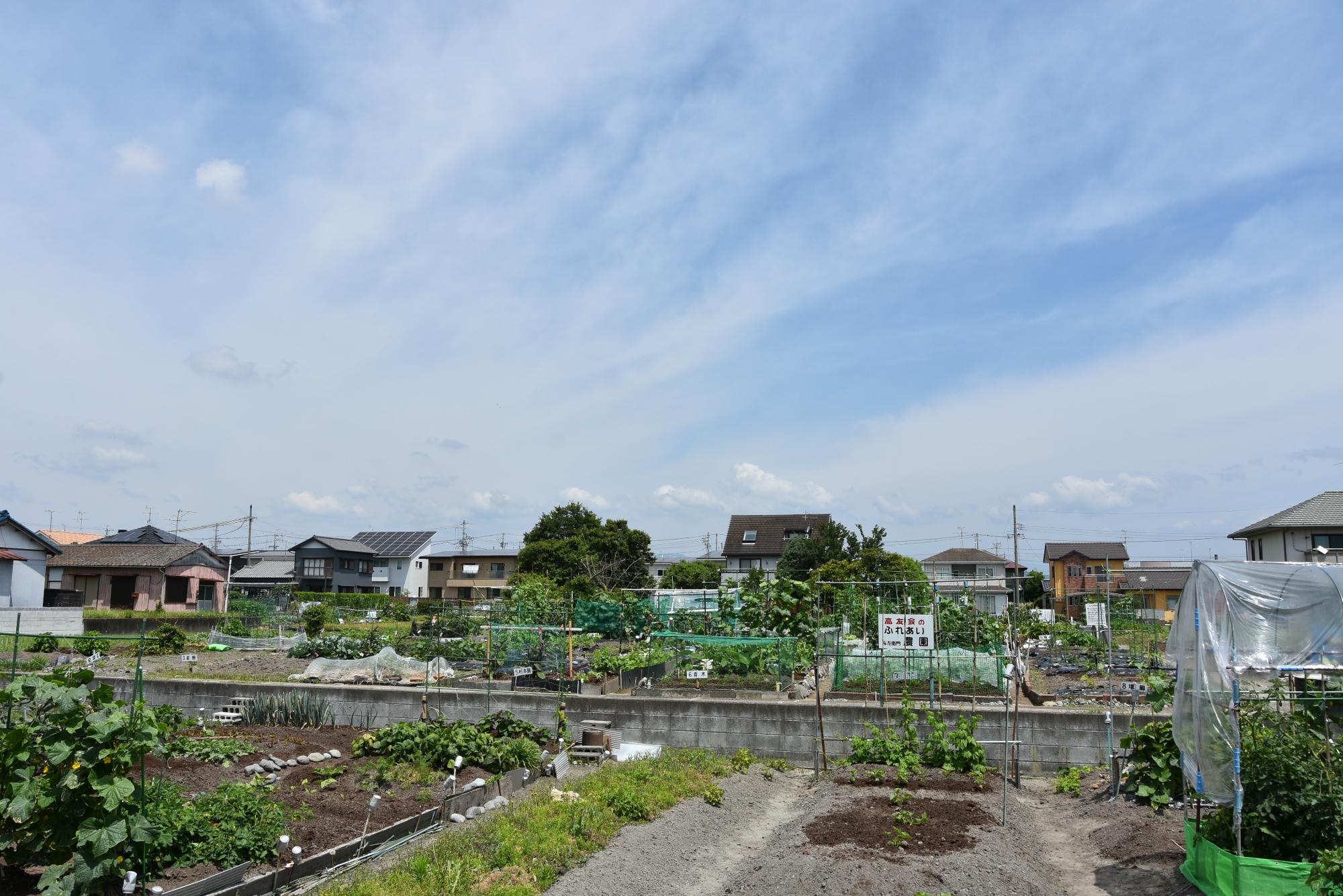 市民農園（遠景）