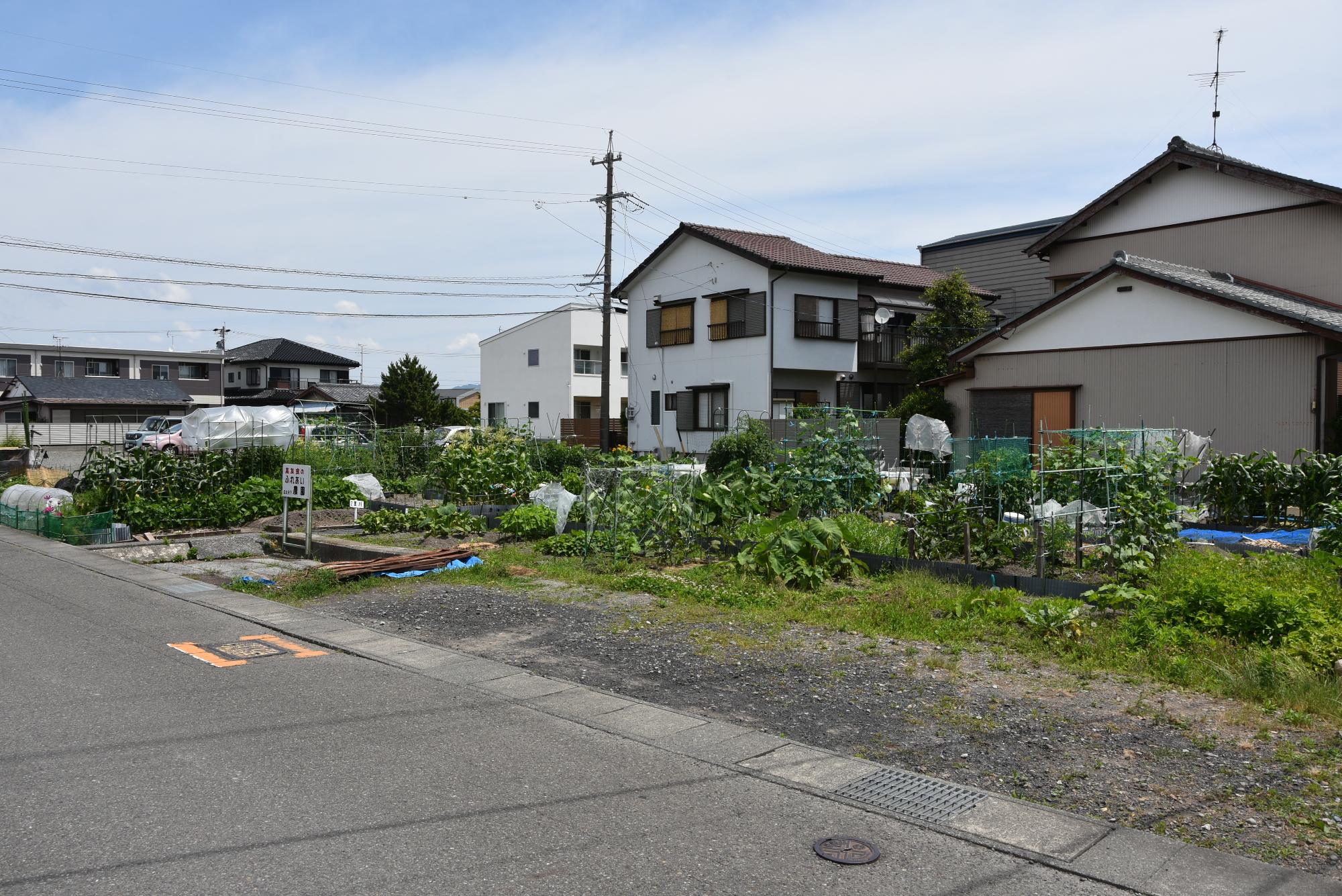 市民農園（遠景）