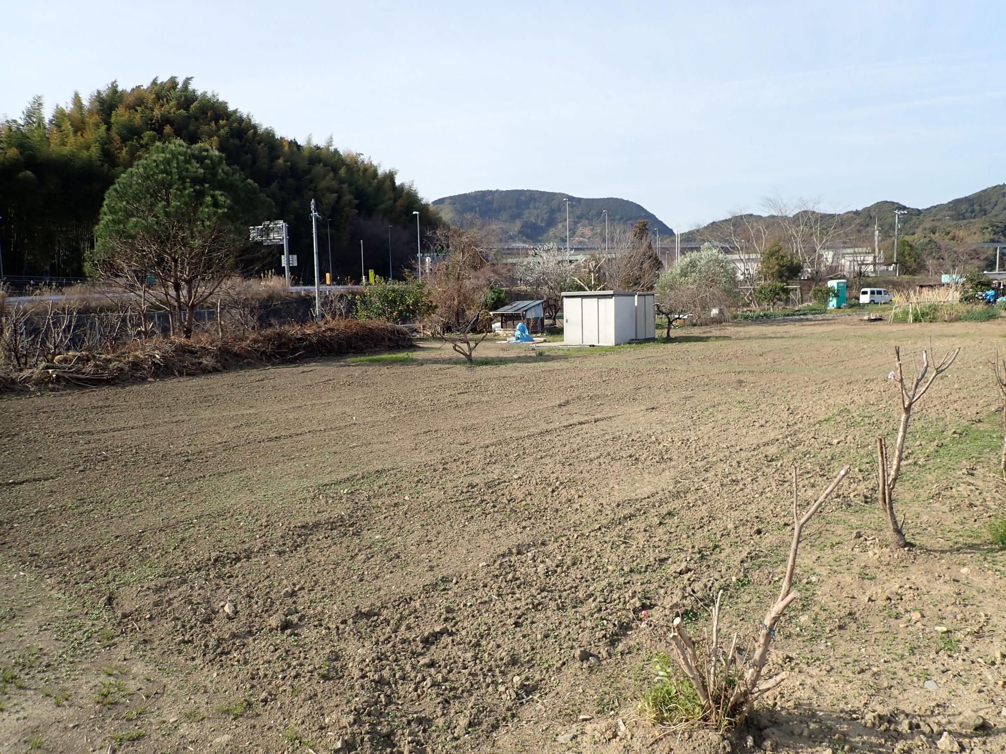 市民農園（近景）