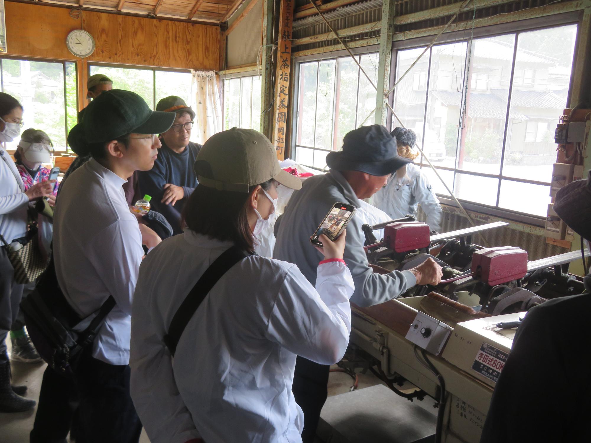 摘採荒茶講座摘採2
