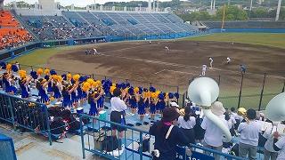 スタンドから声援を送る藤枝明誠中学・高校の生徒