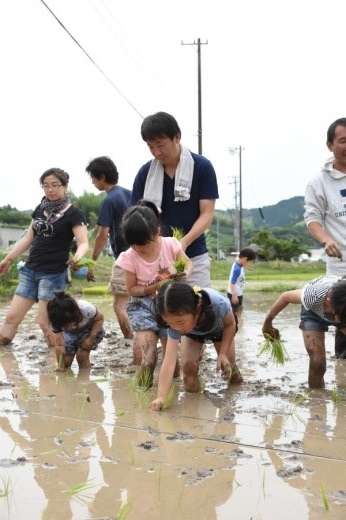 田植え体験