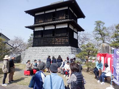 花見茶会の様子