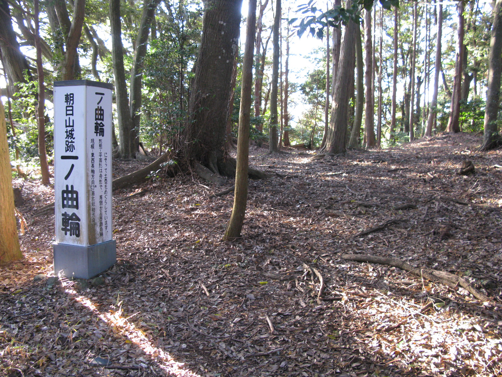 朝日山城跡