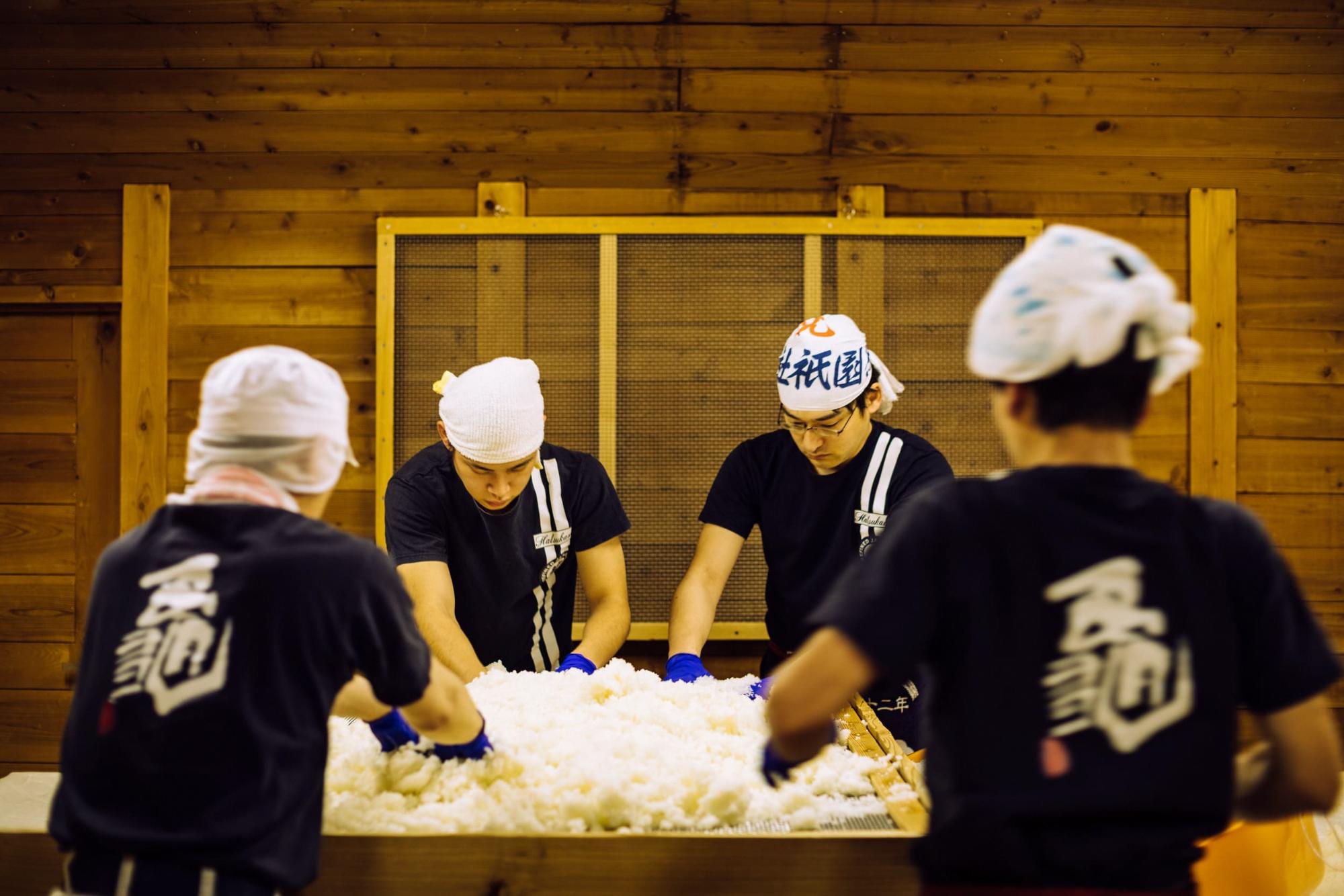 初亀醸造株式会社の写真その２
