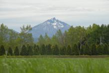 恵庭岳の写真