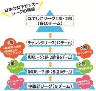 藤枝なでしこシャインプロジェクト 藤枝市ホームページ