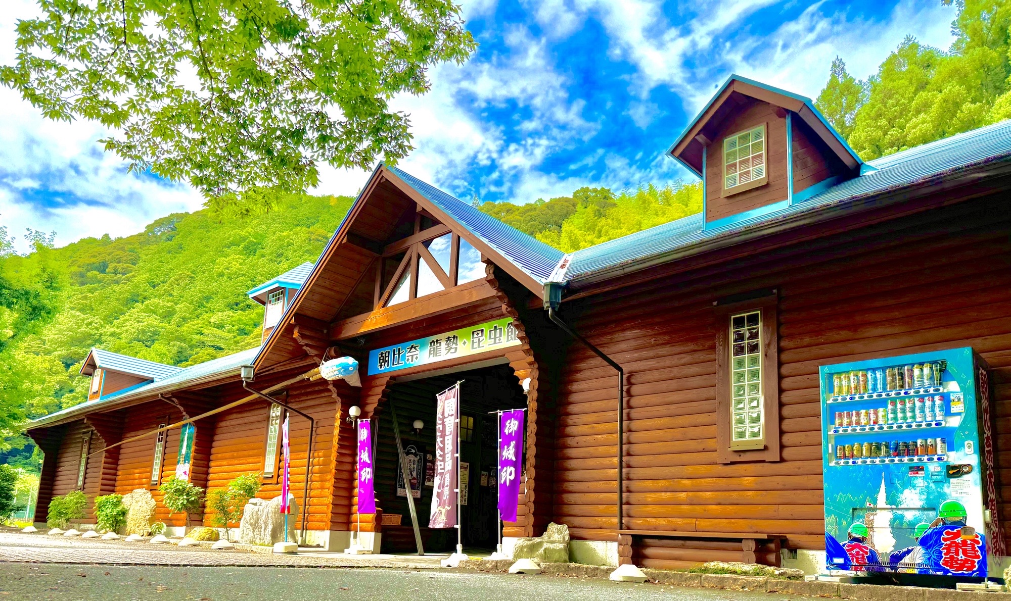 朝比奈 龍勢・昆虫館