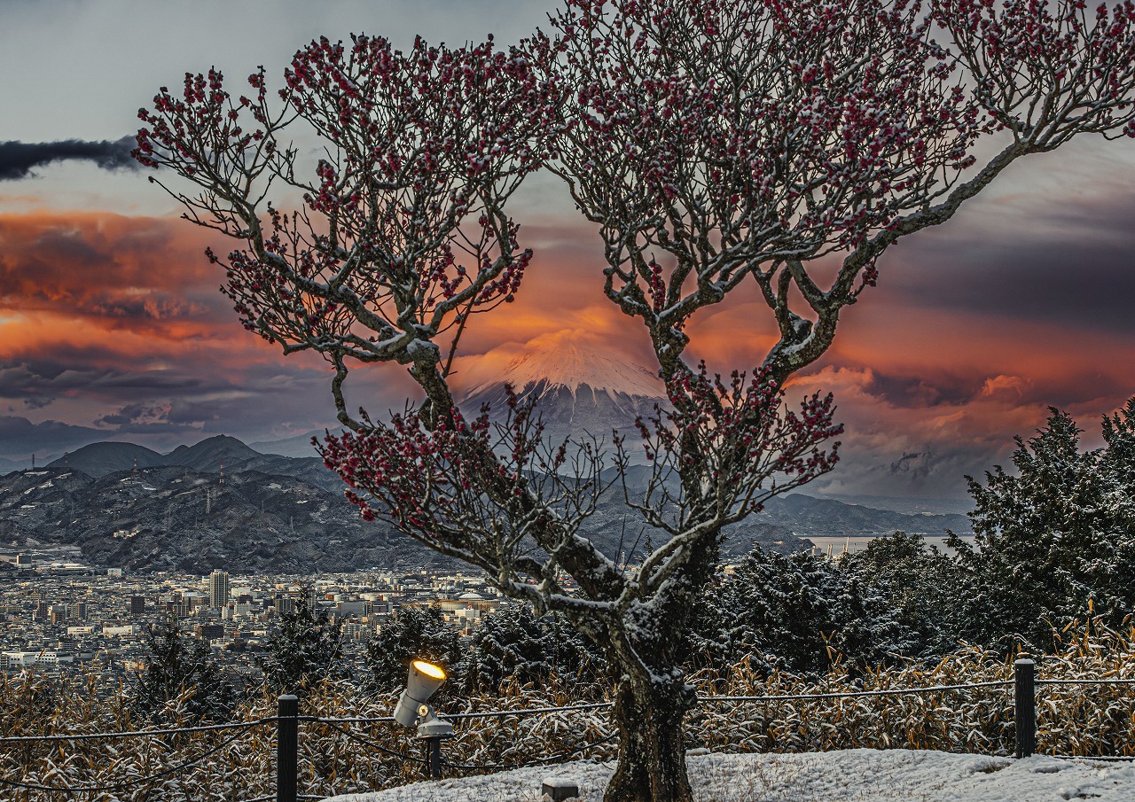 team_shizuoka写真展展示写真