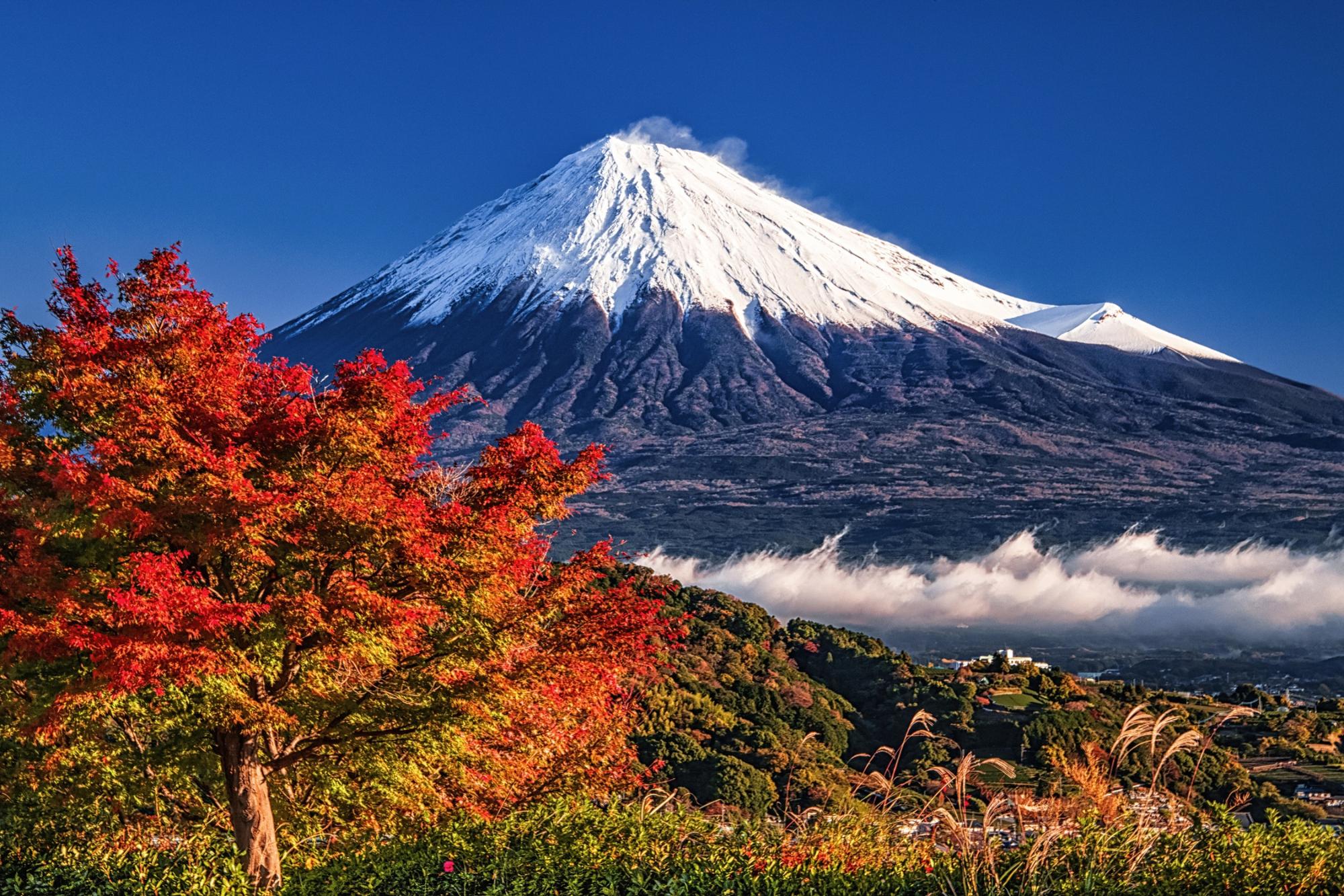 富士山写真展
