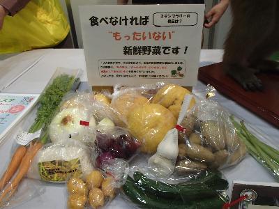 R6_kankyoufesta_8