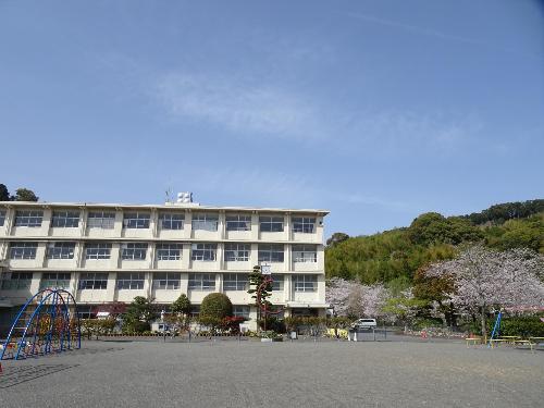 藤枝中央小学校写真