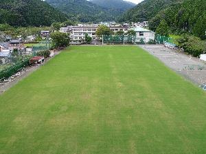 芝生苗植え60日目