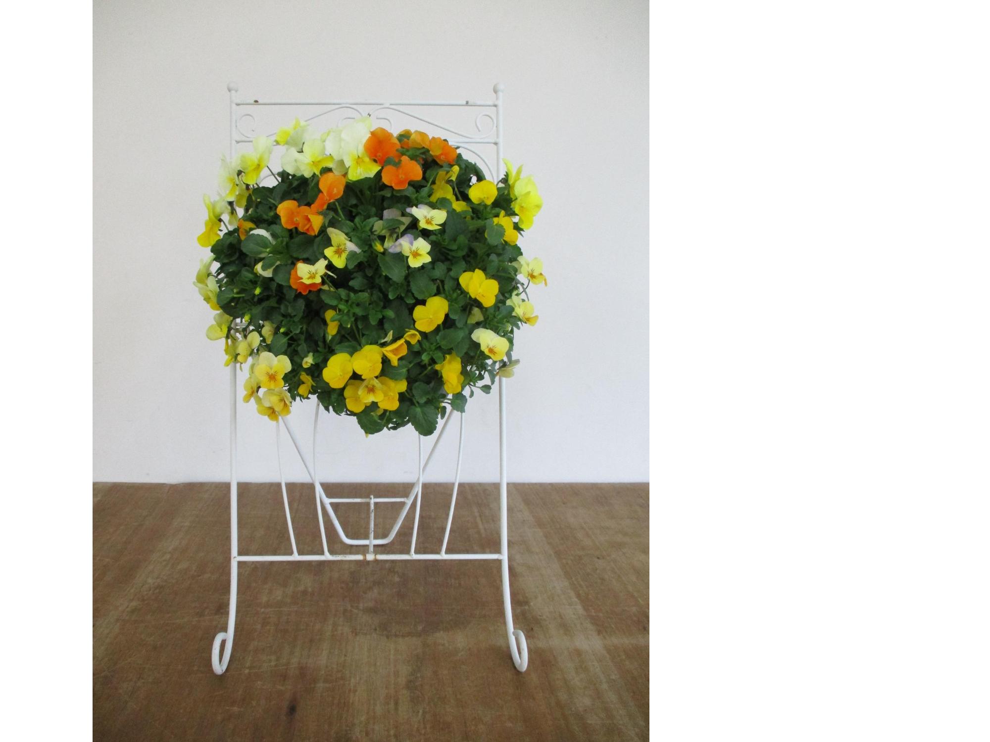 ビオラ＆パンジーのハンギングバスケット