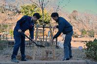 記念植樹土入れ