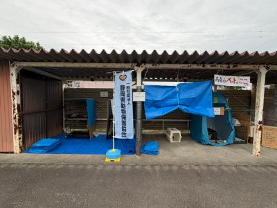 ペット防災訓練（高洲南）