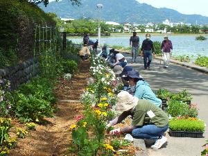 花壇植栽の様子