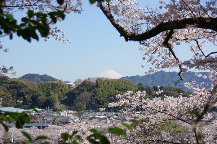 金比羅山からの眺望