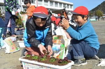 プランターに花を植える小学生