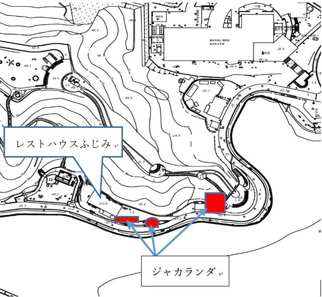 蓮華寺池公園内のジャカランダの位置図