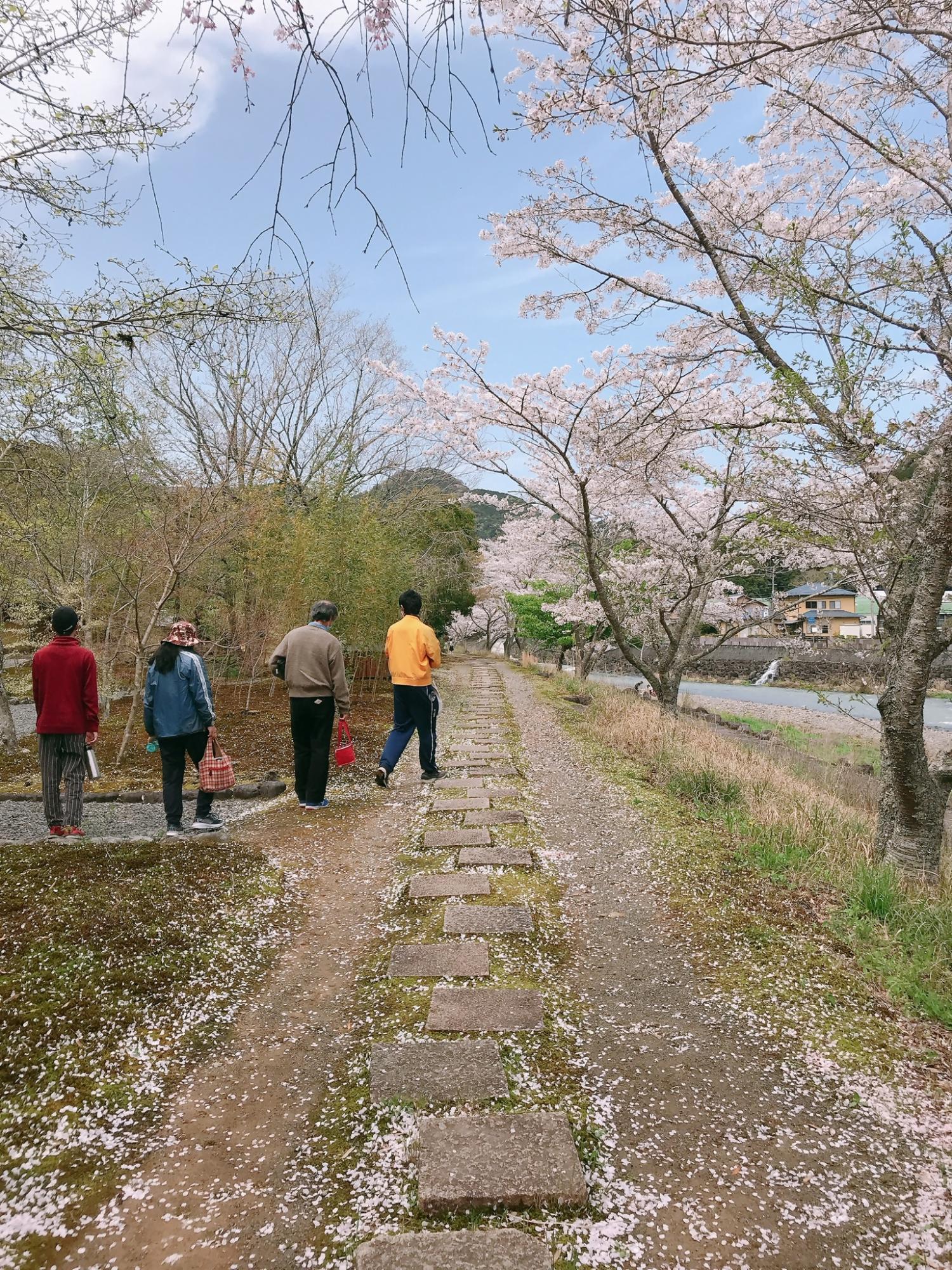 入賞 「春の小道を歩く」