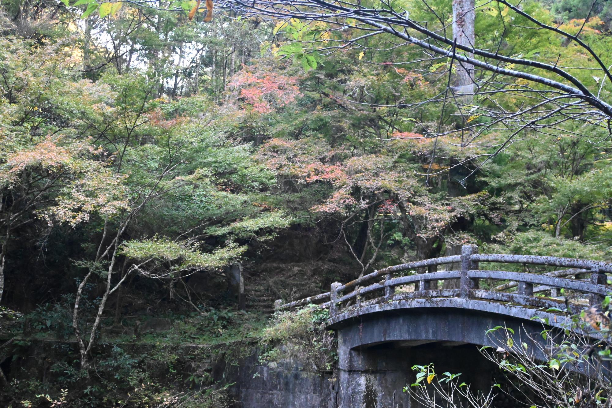 入賞 「季節の移ろい」