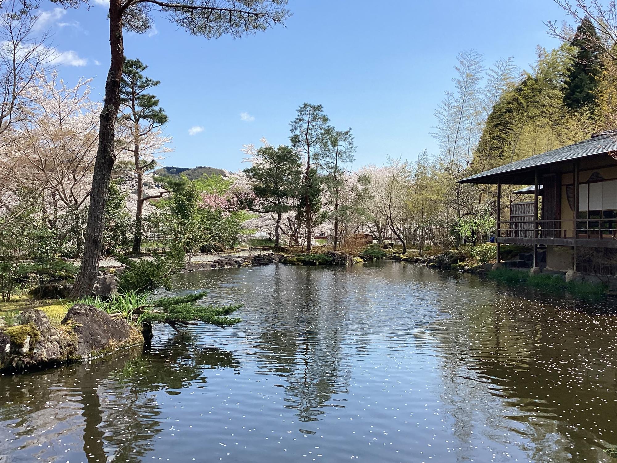 入賞 「岡部の花びら」