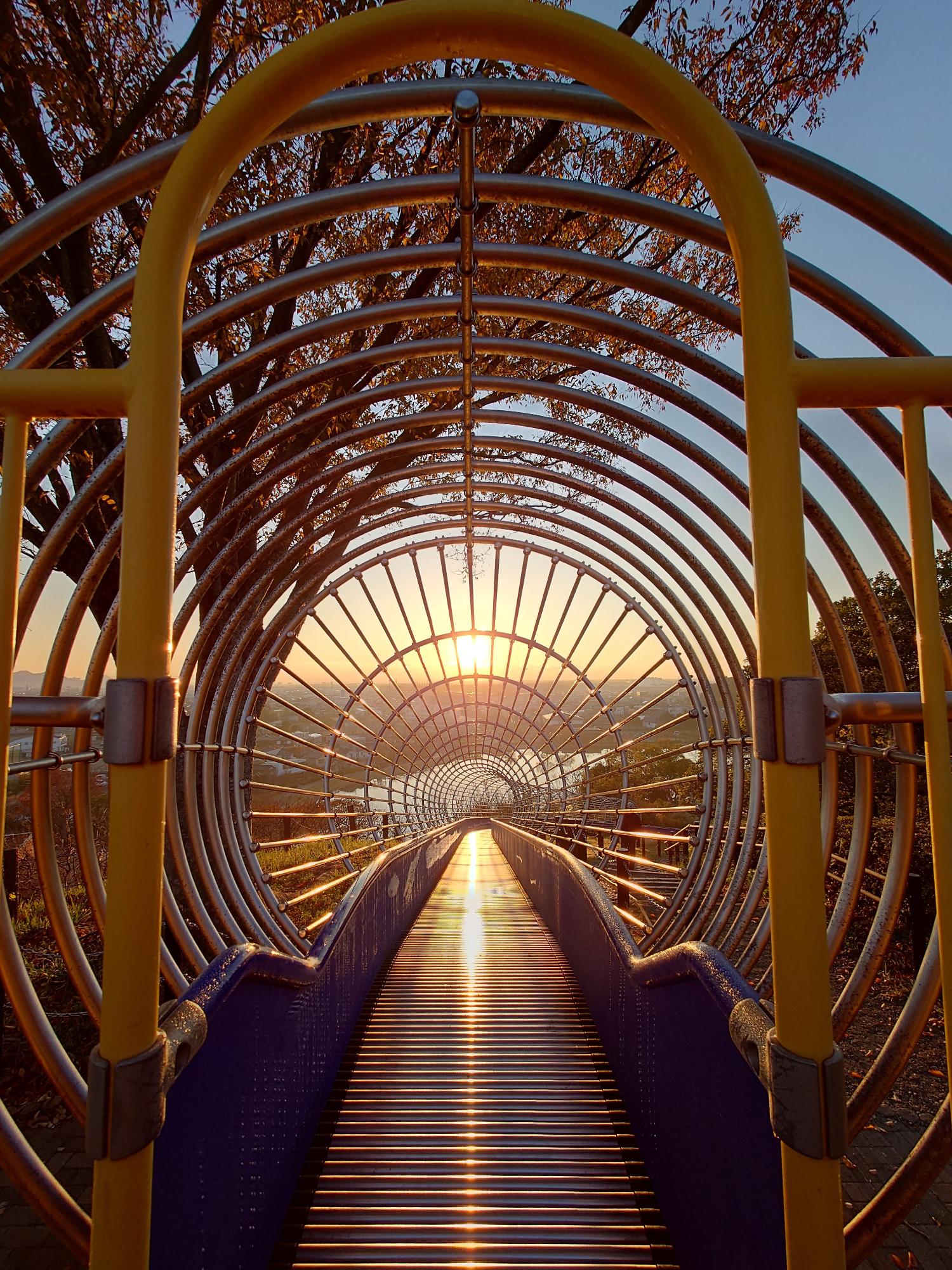 優秀賞 「蓮華寺サンライズイルミネーション」