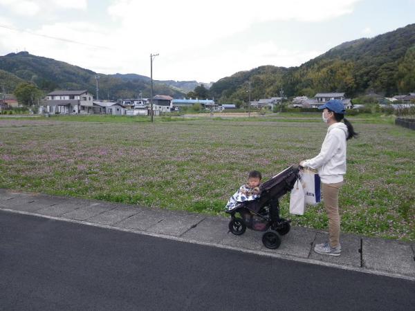 蓮華畑でお散歩