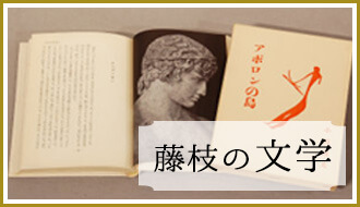 藤枝の文学