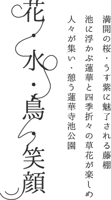 満開の桜・うす紫に魅了される藤棚　池に浮かぶ蓮華と四季折々の草花が楽しめ　人々が集い・憩う蓮華寺池公園　花・水・鳥・笑顔