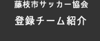 藤枝市サッカー協会 チーム紹介